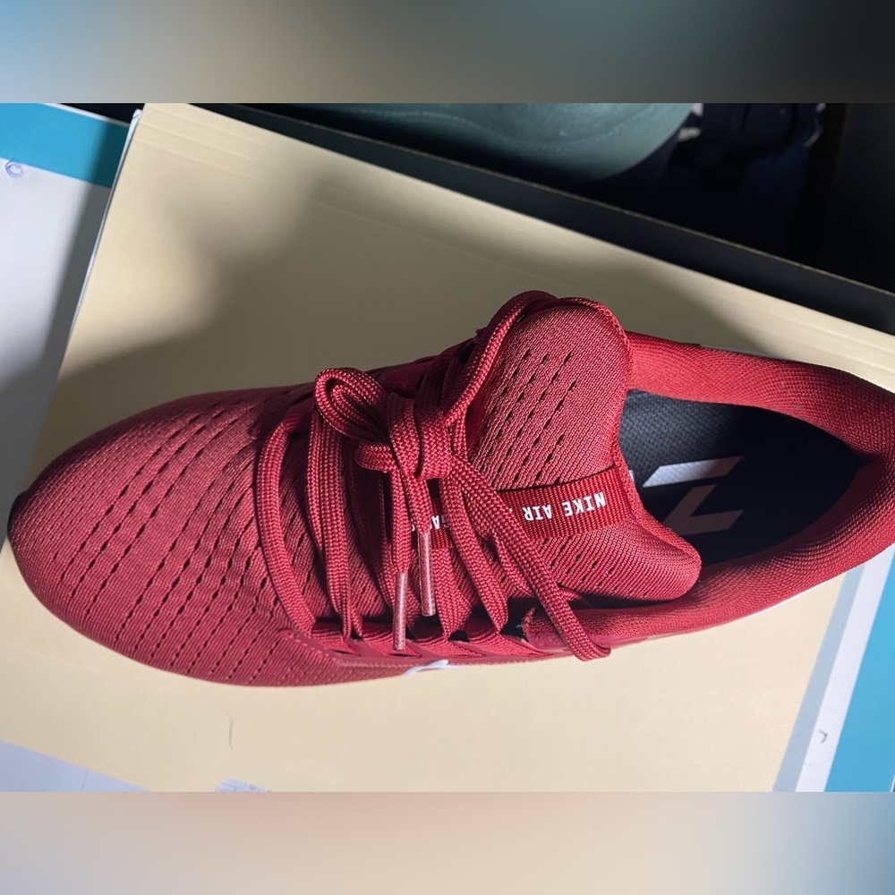 Brand new Nike Pegasus, in box